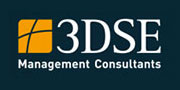 Consultant Jobs bei 3DSE Management Consultants GmbH